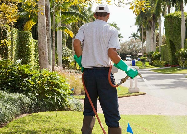 About Roggen CO Pest Control